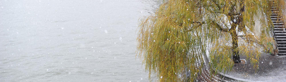 Saratoga Springs Digital